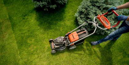 Scapes and Spaces Services Mowing Line Trimming Edges